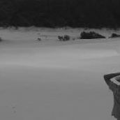 Craig Acton Photo 7