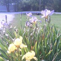 Paula Ferrell Photo 4