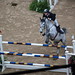 Tony Hansen Photo 30