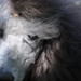 Dianne Gray Photo 28