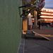 Andy Desantis Photo 3