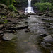 Sheldon Reynolds Photo 22