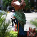 Heather Bird Photo 47