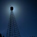 Tom Hill Photo 6