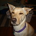 Julie Radley Photo 13