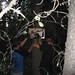 Heather Jewell Photo 7