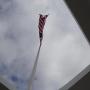 Rick Long Photo 8