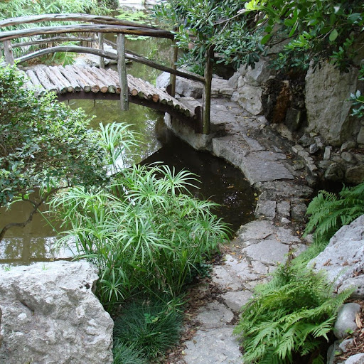 Debra Ford Photo 31