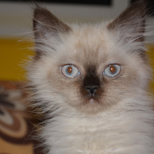 Saud Alghamdi Photo 13