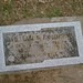 William Robinson Photo 9
