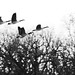 Michael Stricker Photo 37