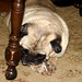 Betty Wilder Photo 20