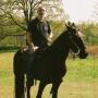 Perry Phillips Photo 13