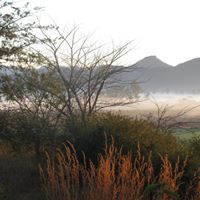 Gail Strong Photo 9