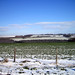 Dale Mast Photo 11