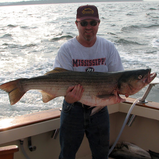 Marc Lessard Photo 4