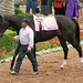 Mario Espinoza Photo 17