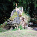 Robin Stump Photo 33
