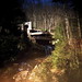 Diana Waters Photo 21