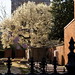 Mary Spring Photo 19