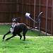 Carroll Timms Photo 6