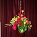 Carolyn Gordon Photo 31