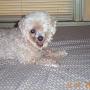 Susan Thacker Photo 27