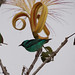 Richard Comstock Photo 23