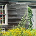 Susan Cushing Photo 9