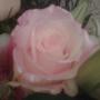 Margaret Charlton Photo 23