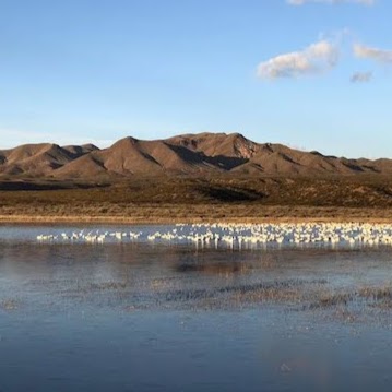 Ping Hao Photo 9