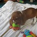 Wilma Male Photo 2