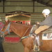 Rebecca Carter Photo 25