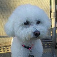 Peggy Winter Photo 17