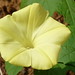 Rose Woods Photo 13