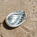 Gregory Shell Photo 8