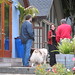 Judith Lamb Photo 14