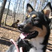 Tracey Foster Photo 17