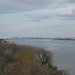 Virginia Wilson Photo 15
