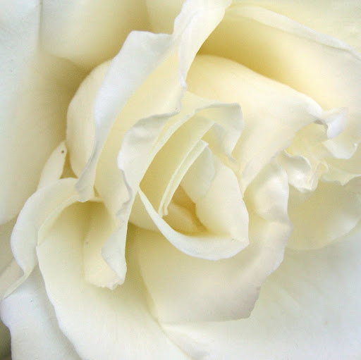 Ruth Mills Photo 41