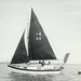 Jack Rayner Photo 29