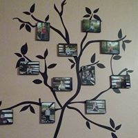 Michele Perkins Photo 14
