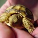 Paul Shell Photo 13