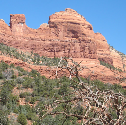 David Winchell Photo 18