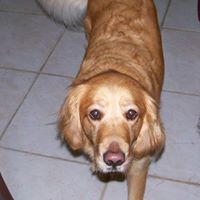 Walter Moody Photo 7