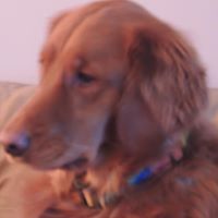 Christine Quigley Photo 10