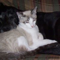 Debbie Pedersen Photo 13