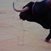 Francisco Aguilar Photo 41