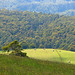 Dale Hill Photo 10