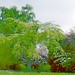 Roy Hyde Photo 29